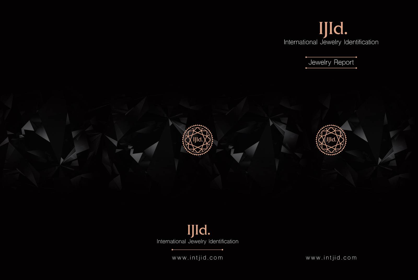 Intjid International Jewelry Identification jewelry report cover